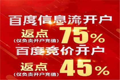 推广竞价策略优化：借鉴经典案例提升效果